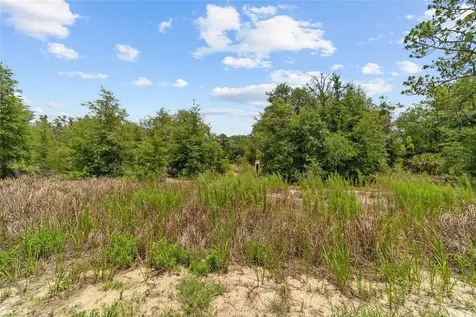 2499 SW 143rd Court Ocala FL 34481