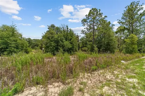 2499 SW 143rd Court Ocala FL 34481
