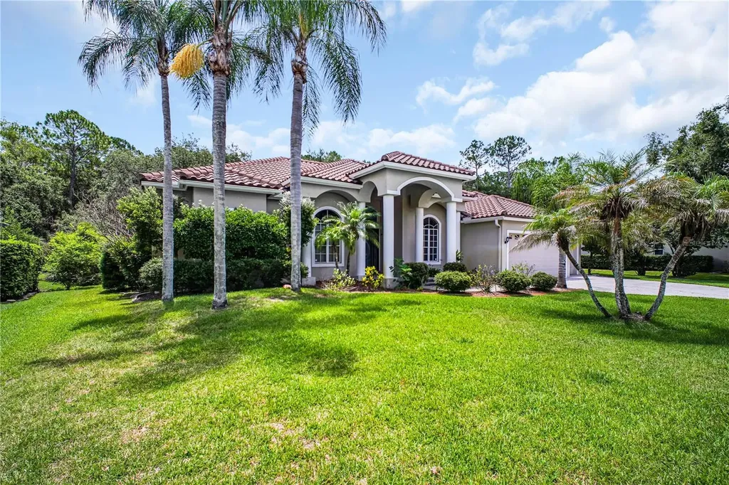 4931 Turtle Creek Trail Oldsmar FL 34677