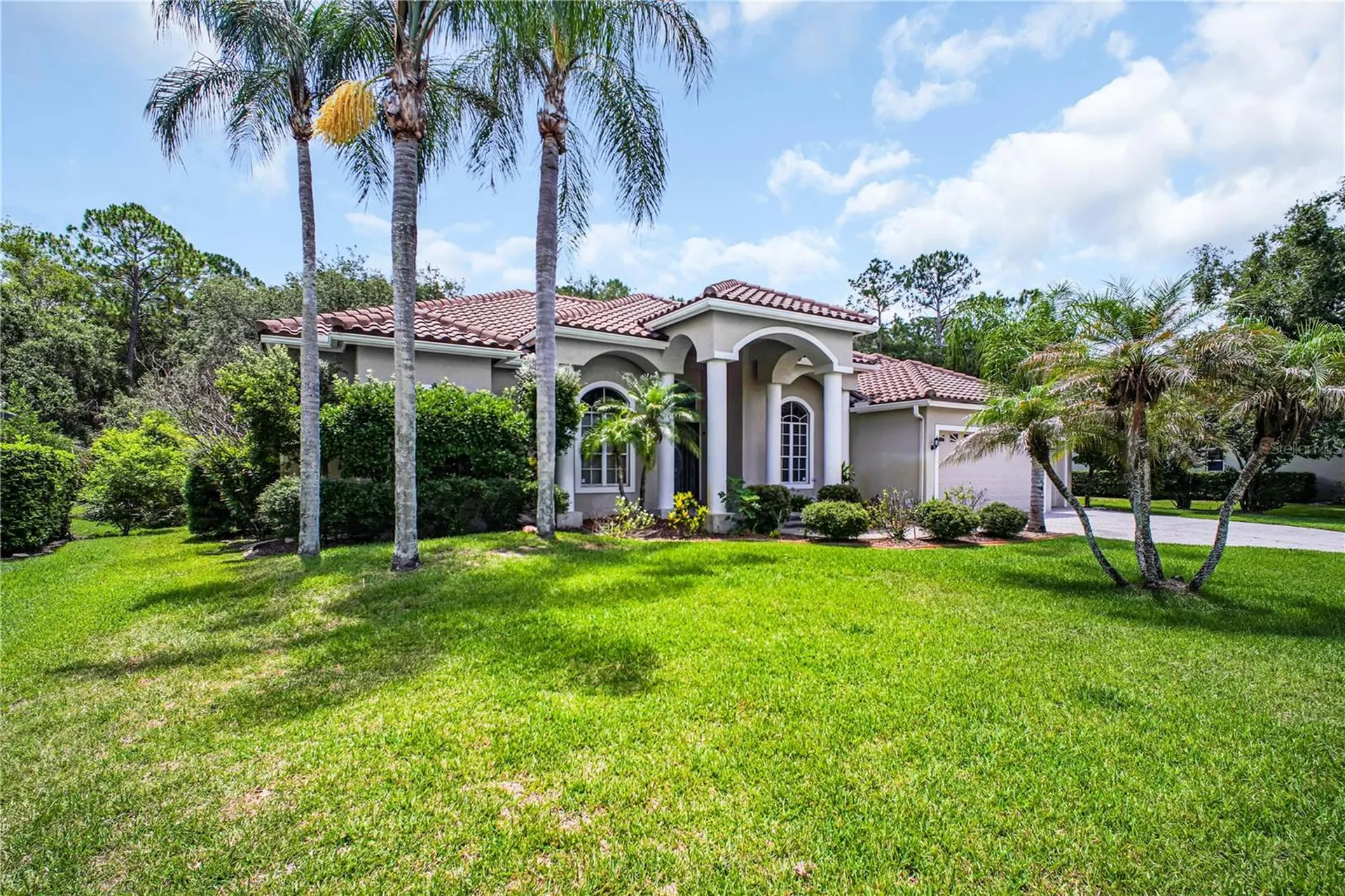 4931 Turtle Creek Trail Oldsmar FL 34677