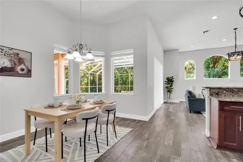 4931 Turtle Creek Trail Oldsmar FL 34677