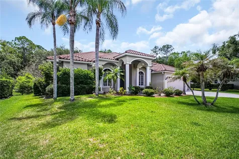 4931 Turtle Creek Trail Oldsmar FL 34677