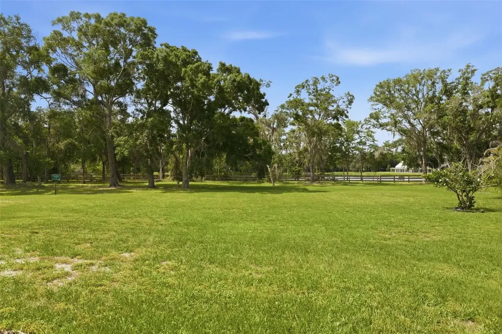 3162 Foxwood Lane Tarpon Springs FL 34688