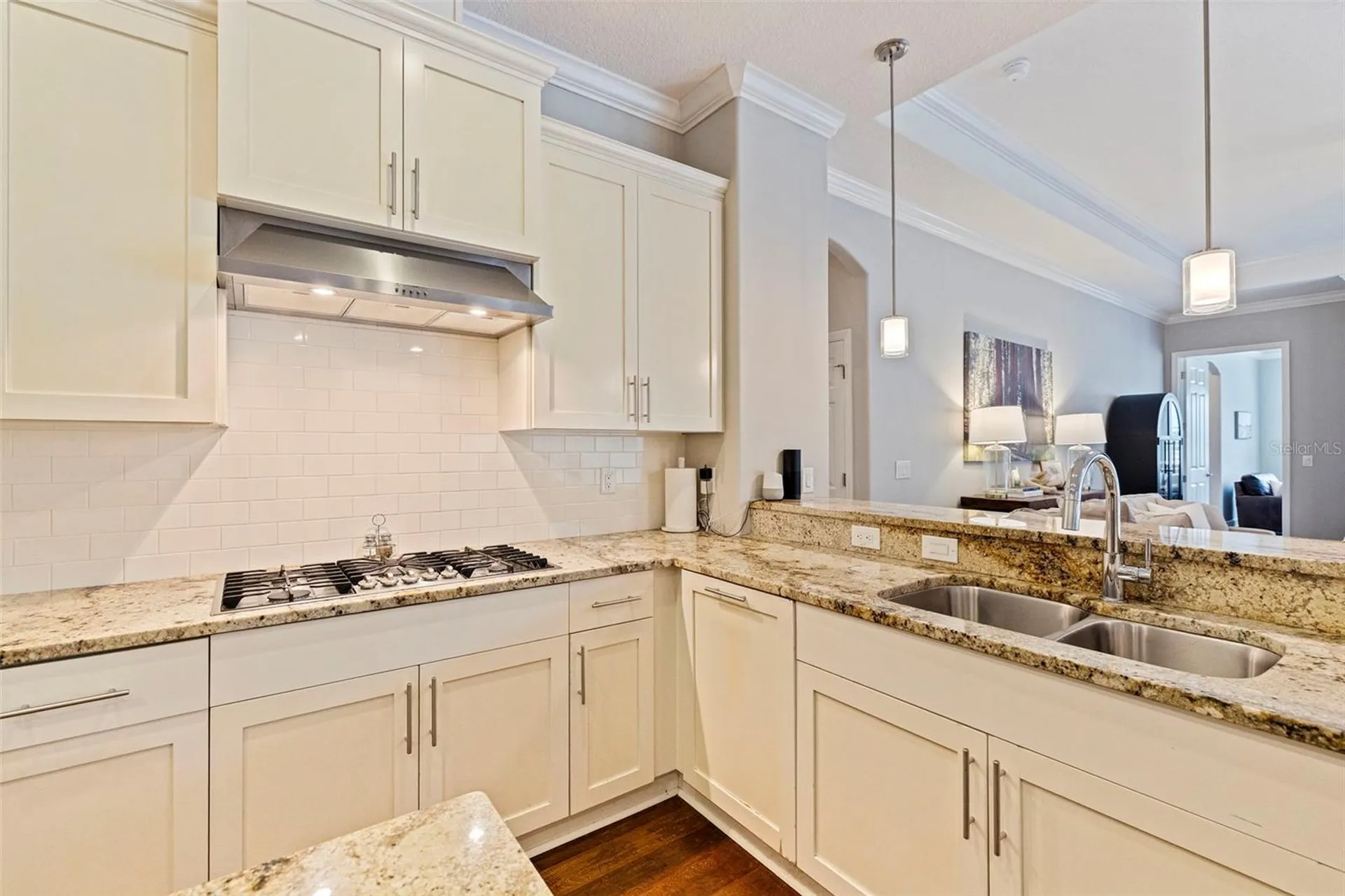 3162 Foxwood Lane Tarpon Springs FL 34688