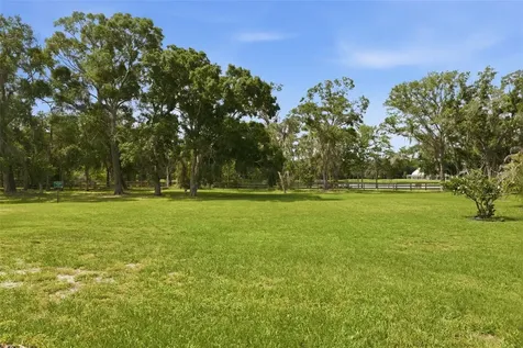 3162 Foxwood Lane Tarpon Springs FL 34688