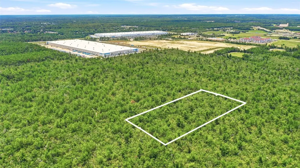 Amelia (paper) Avenue Deltona FL 32725