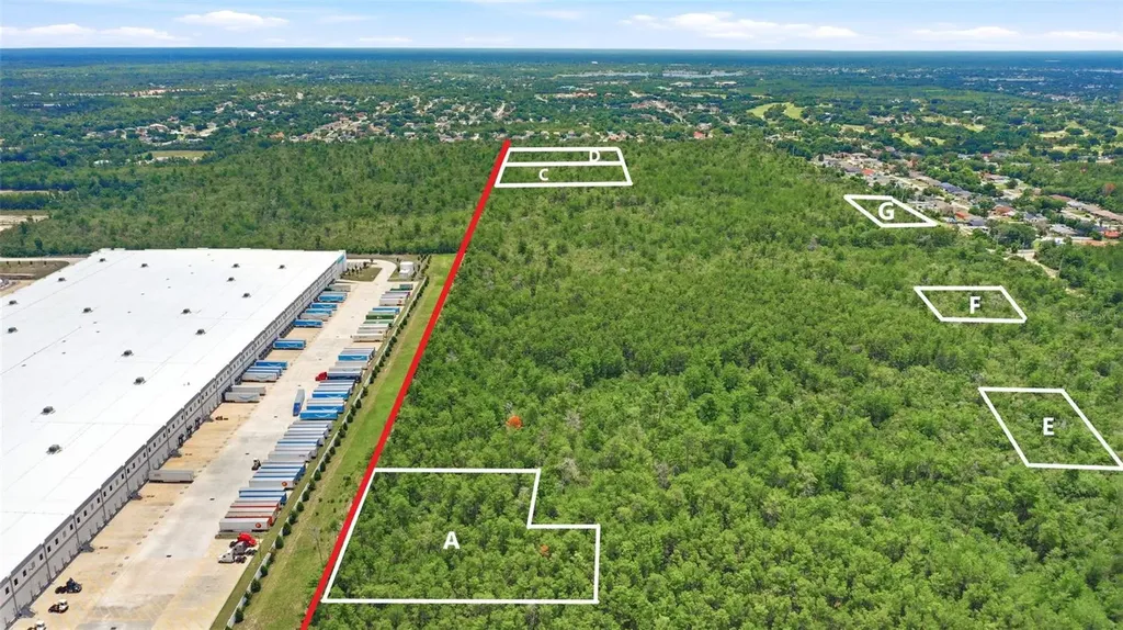 Amelia (paper) Avenue Deltona FL 32725