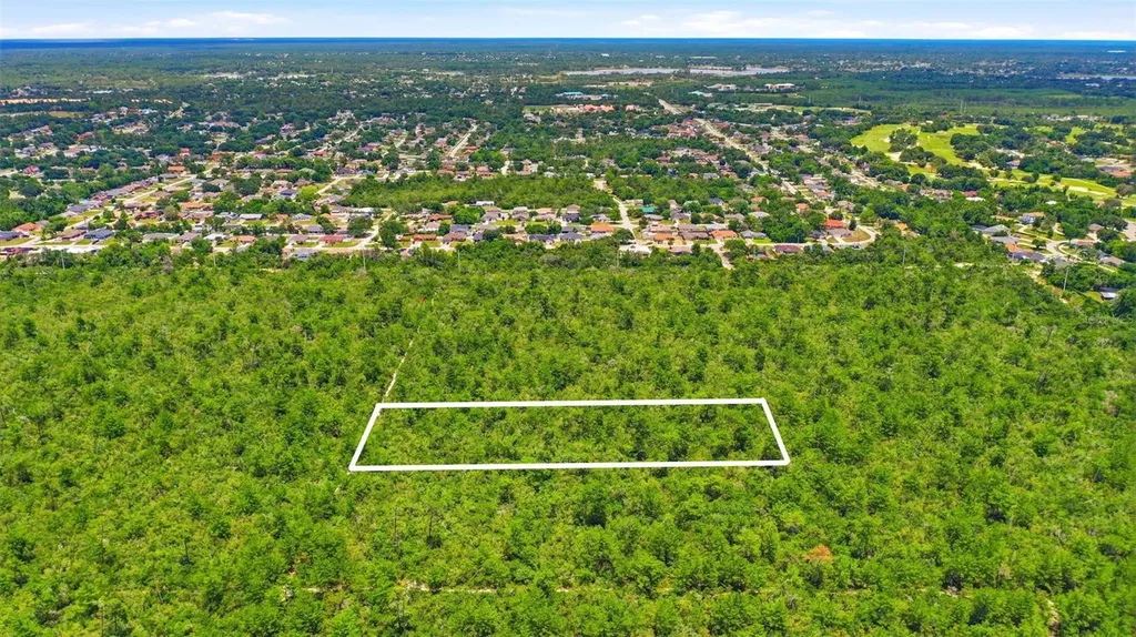 Amelia (paper) Avenue Deltona FL 32725