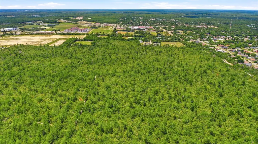 Amelia (paper) Avenue Deltona FL 32725