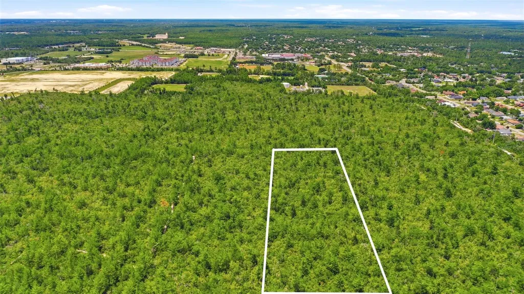 Amelia (paper) Avenue Deltona FL 32725