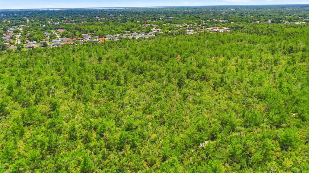 Amelia (paper) Avenue Deltona FL 32725