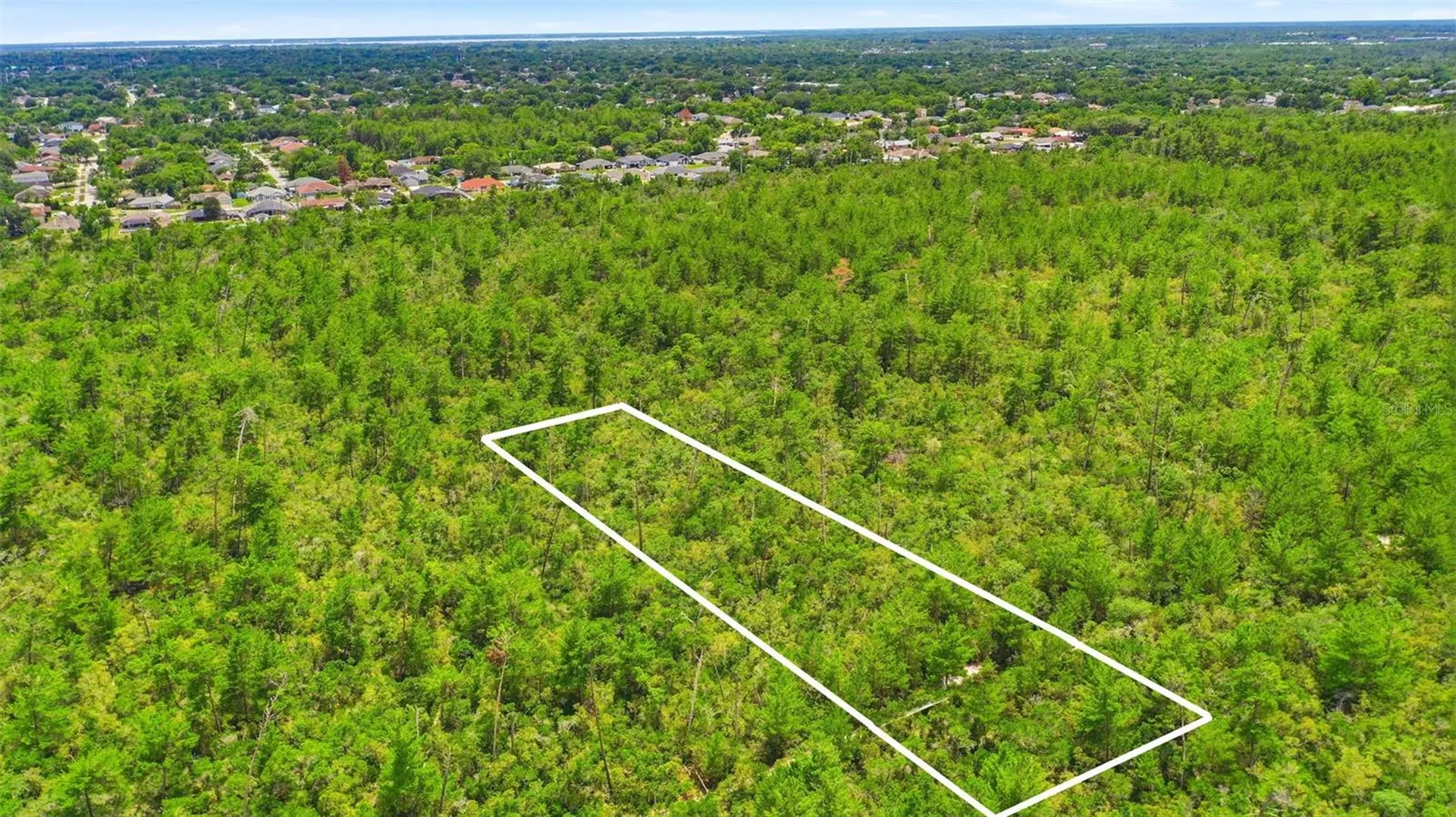 Amelia (paper) Avenue Deltona FL 32725