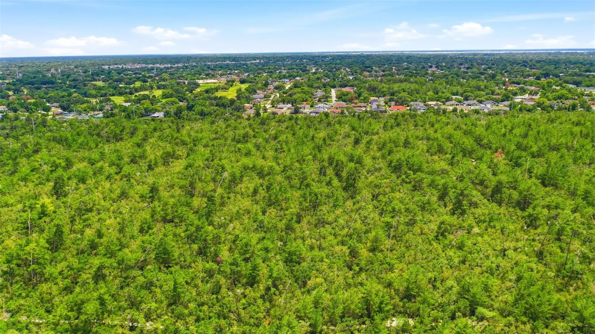 Amelia (paper) Avenue Deltona FL 32725