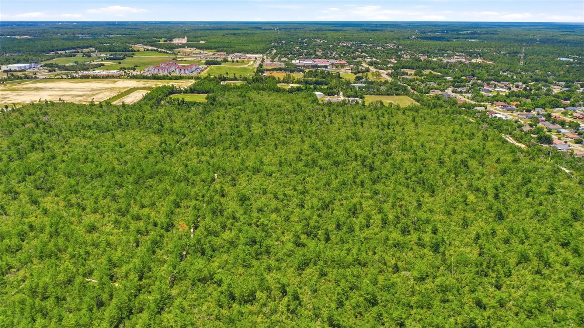 Amelia (paper) Avenue Deltona FL 32725