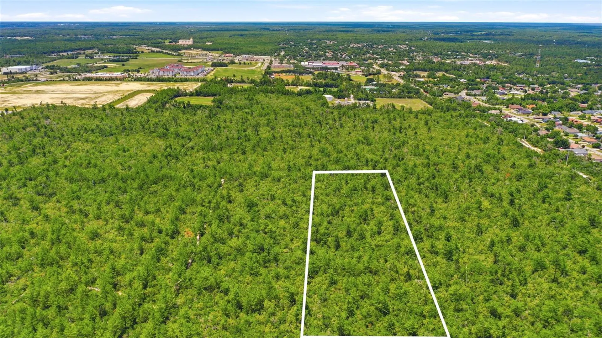 Amelia (paper) Avenue Deltona FL 32725