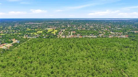 Amelia (paper) Avenue Deltona FL 32725