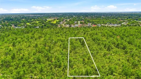 Amelia (paper) Avenue Deltona FL 32725