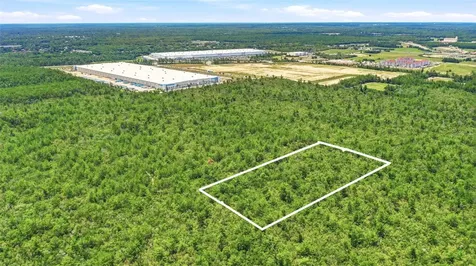 Amelia (paper) Avenue Deltona FL 32725