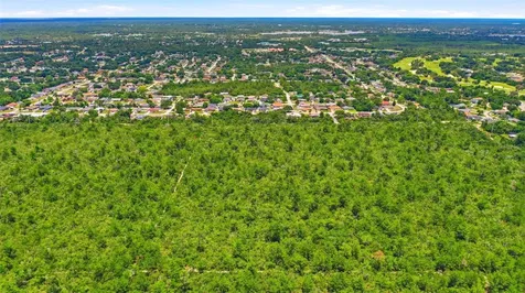 Amelia (paper) Avenue Deltona FL 32725