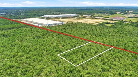 Amelia (paper) Avenue Deltona FL 32725
