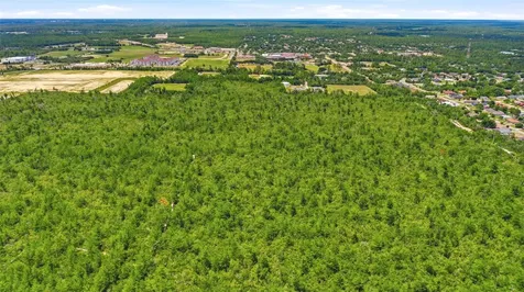 Amelia (paper) Avenue Deltona FL 32725