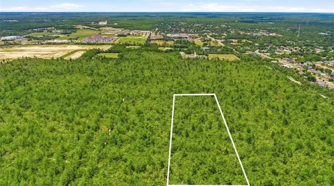 Amelia (paper) Avenue Deltona FL 32725