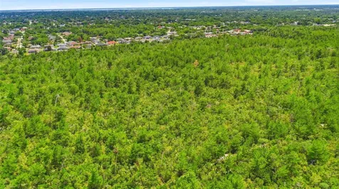Amelia (paper) Avenue Deltona FL 32725