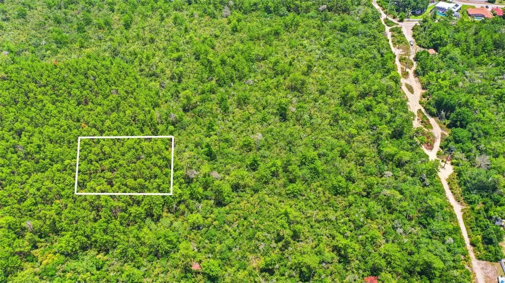 Edgemont (paper) Avenue Deltona FL 32725