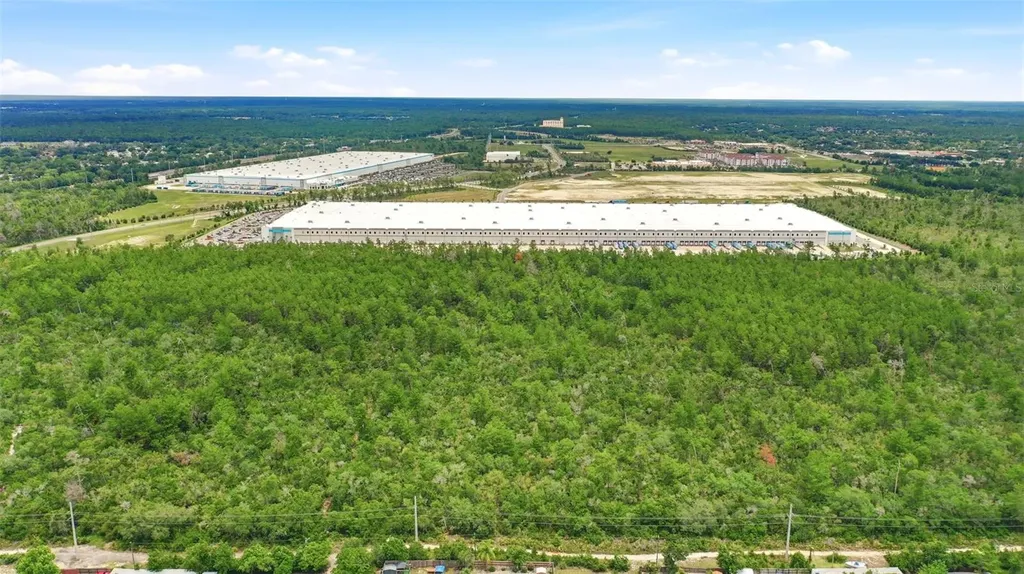 Amelia (paper) Avenue Deltona FL 32725