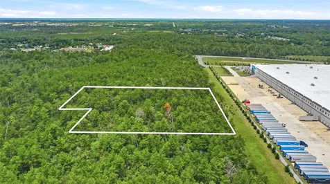 Amelia (paper) Avenue Deltona FL 32725