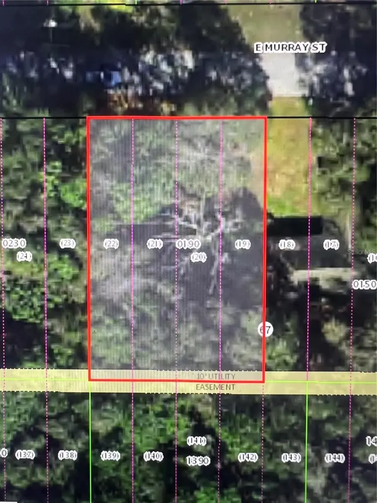 3404 E Murray Street Inverness FL 34453