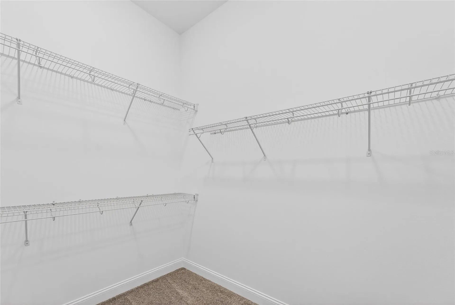 15174 Field Daisy Drive Winter Garden FL 34787