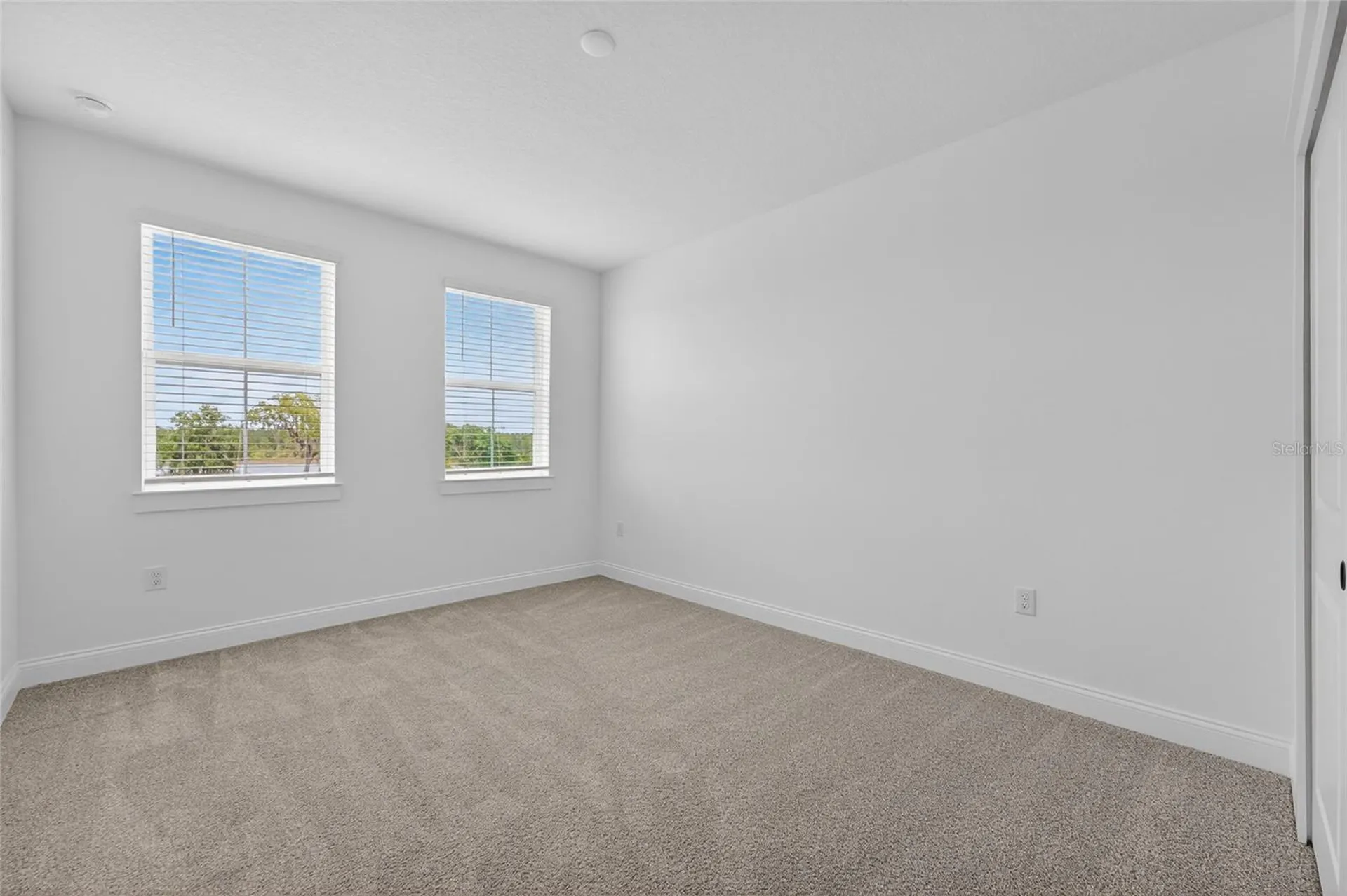 15174 Field Daisy Drive Winter Garden FL 34787