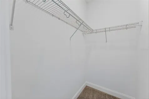 15174 Field Daisy Drive Winter Garden FL 34787