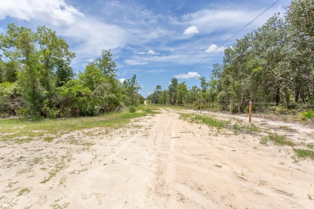 11960 NE 67th Lane Williston FL 32696