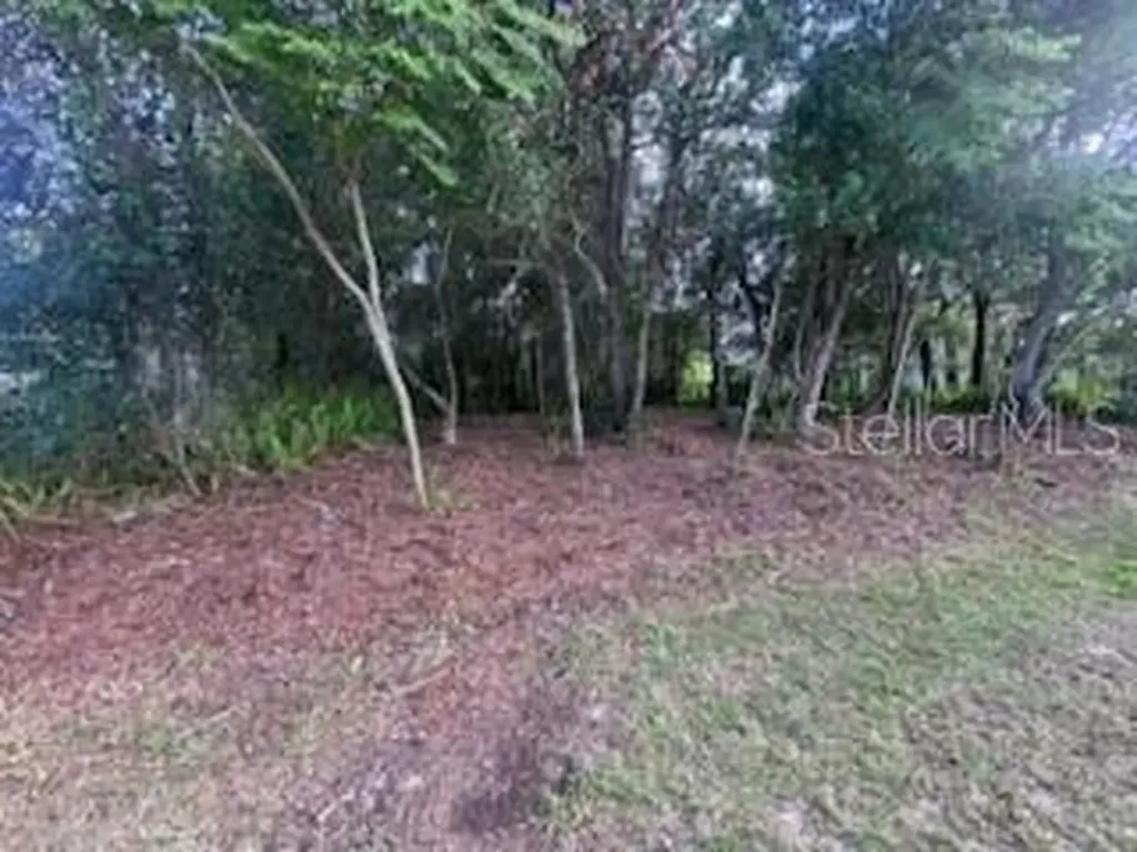 3253 Sardinia Terrace Deltona FL 32738