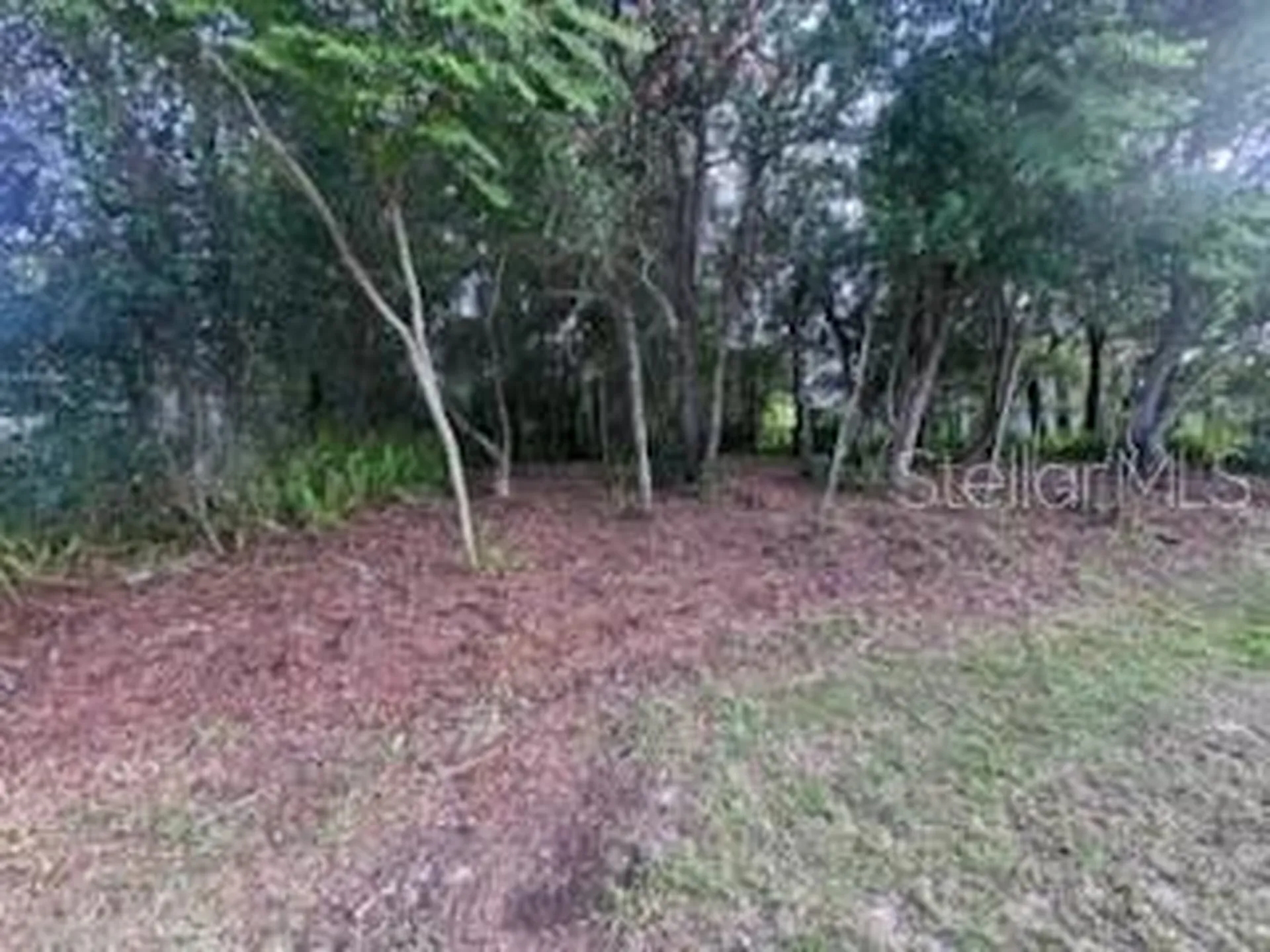 3253 Sardinia Terrace Deltona FL 32738