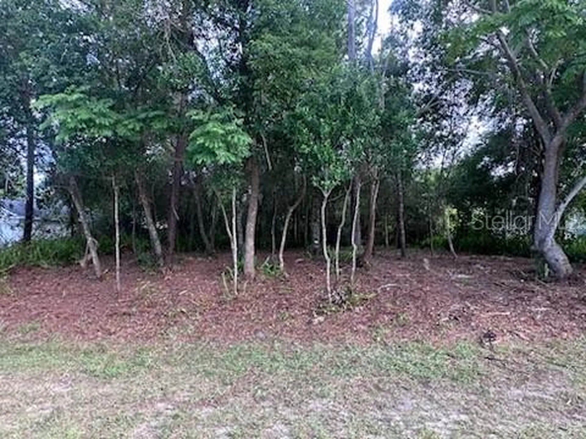 3253 Sardinia Terrace Deltona FL 32738