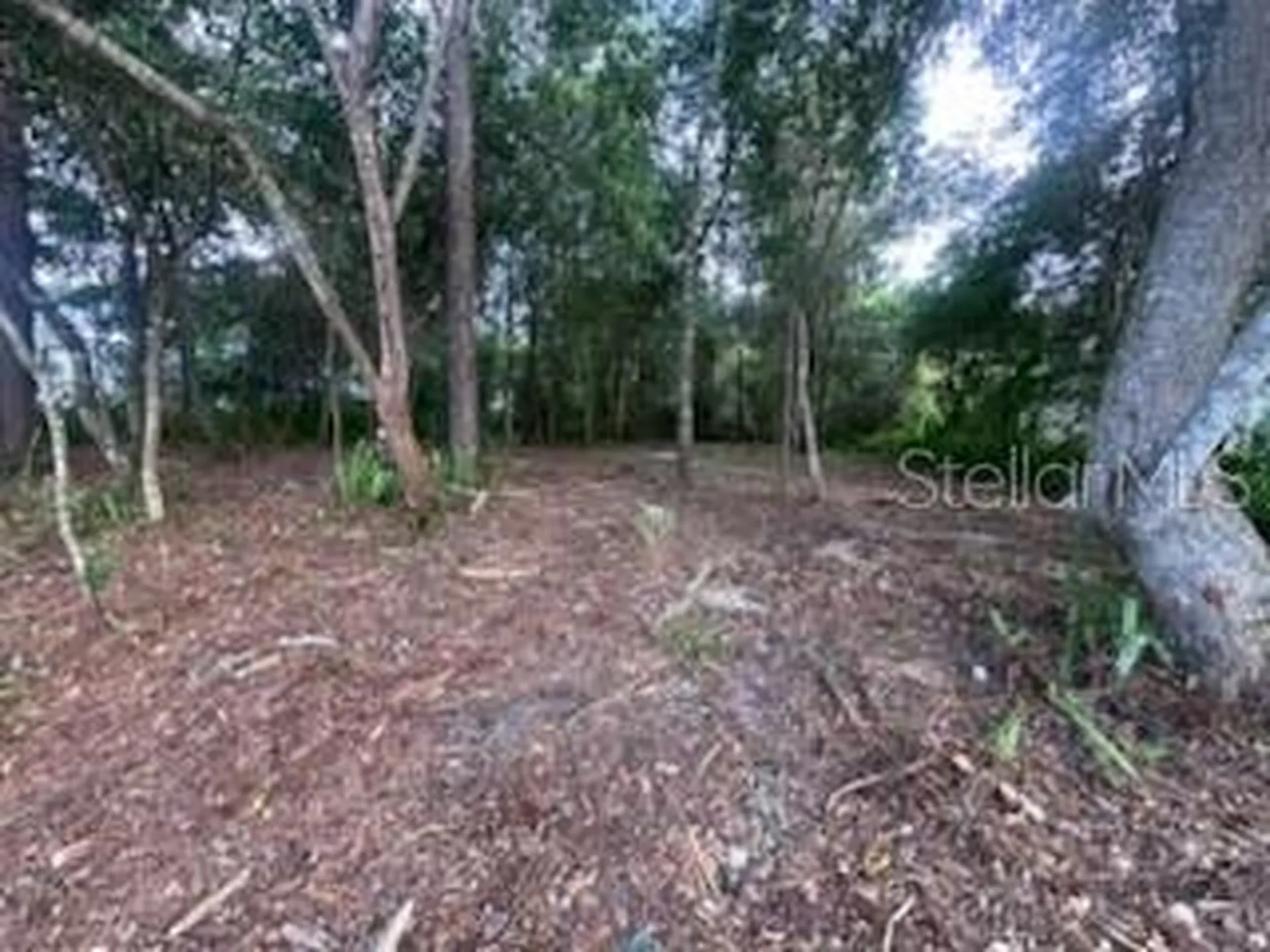 3253 Sardinia Terrace Deltona FL 32738