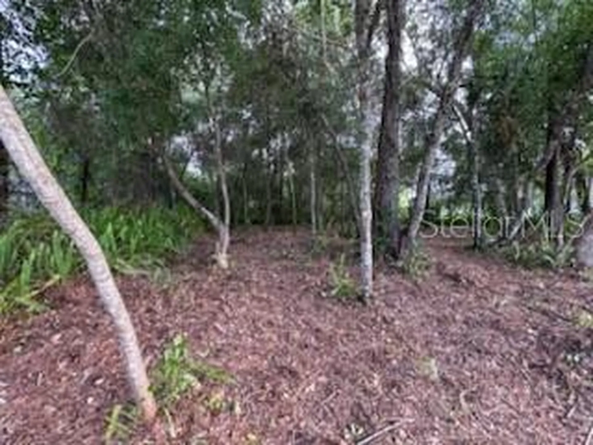 3253 Sardinia Terrace Deltona FL 32738