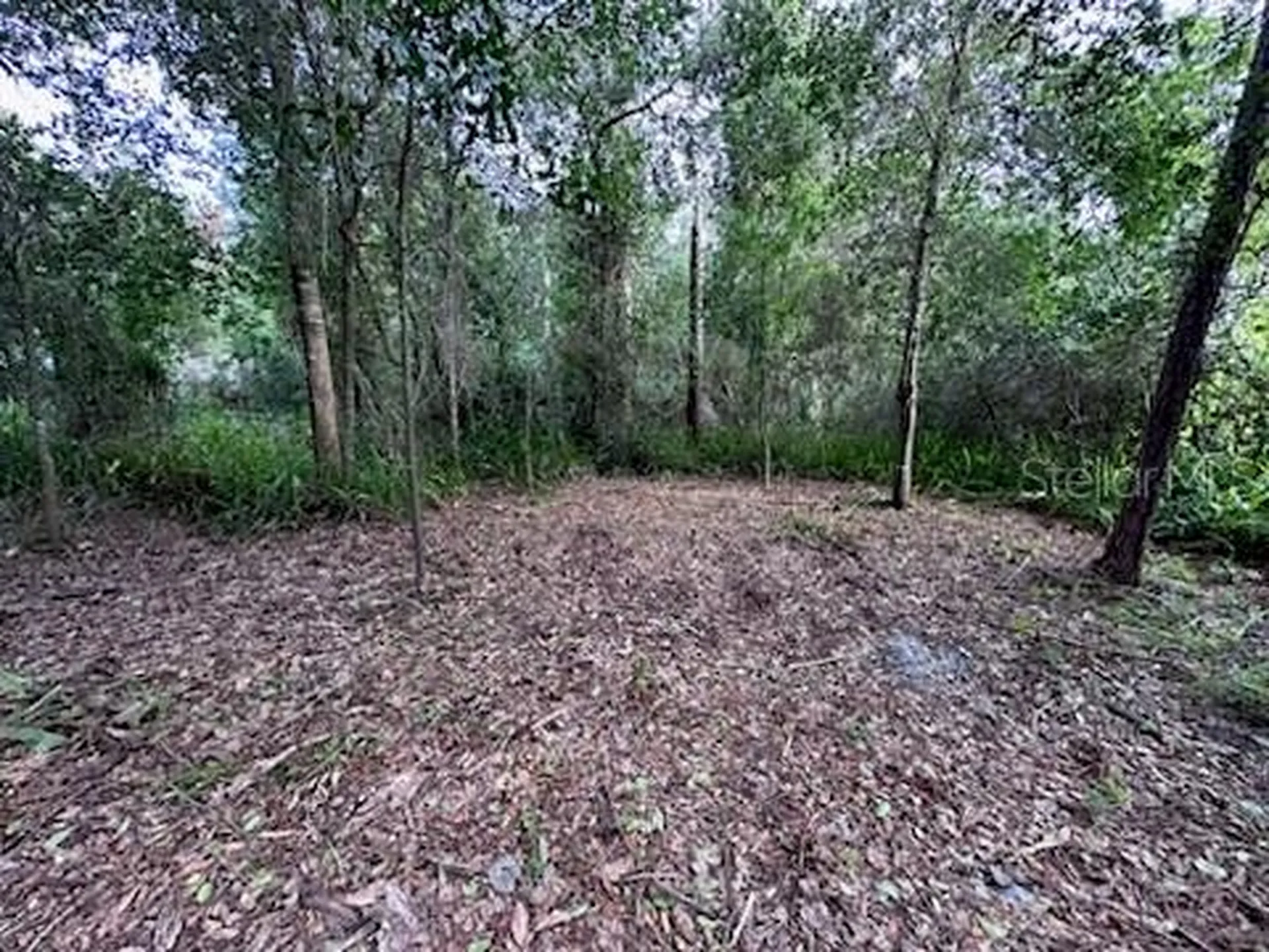 3253 Sardinia Terrace Deltona FL 32738