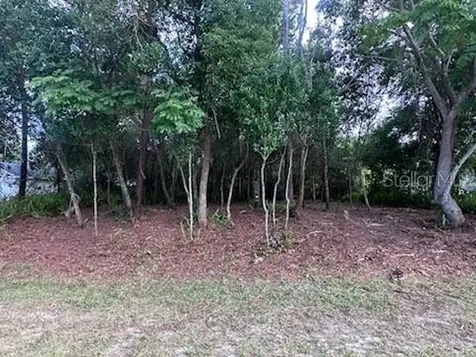 3253 Sardinia Terrace Deltona FL 32738