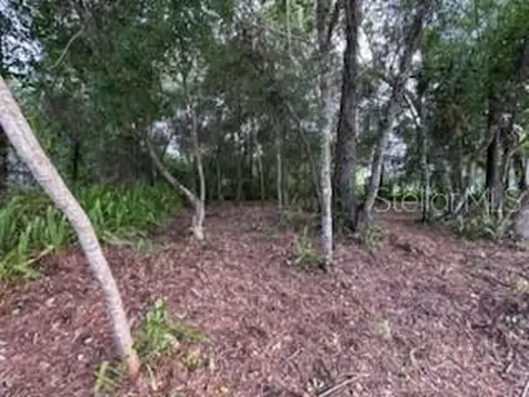 3253 Sardinia Terrace Deltona FL 32738