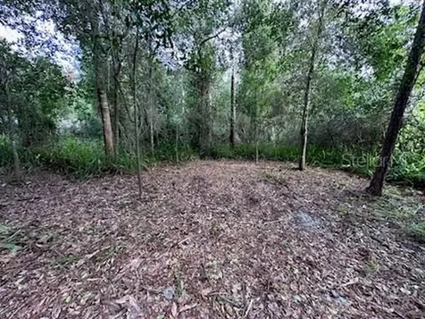3253 Sardinia Terrace Deltona FL 32738