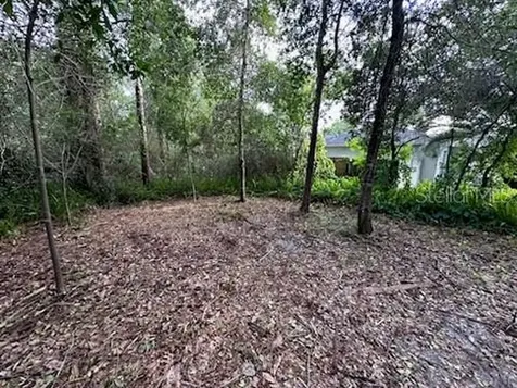 3253 Sardinia Terrace Deltona FL 32738