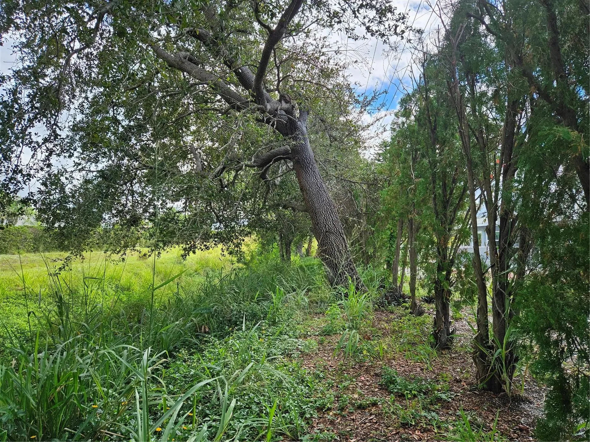 272 Malvern Drive Venice FL 34293
