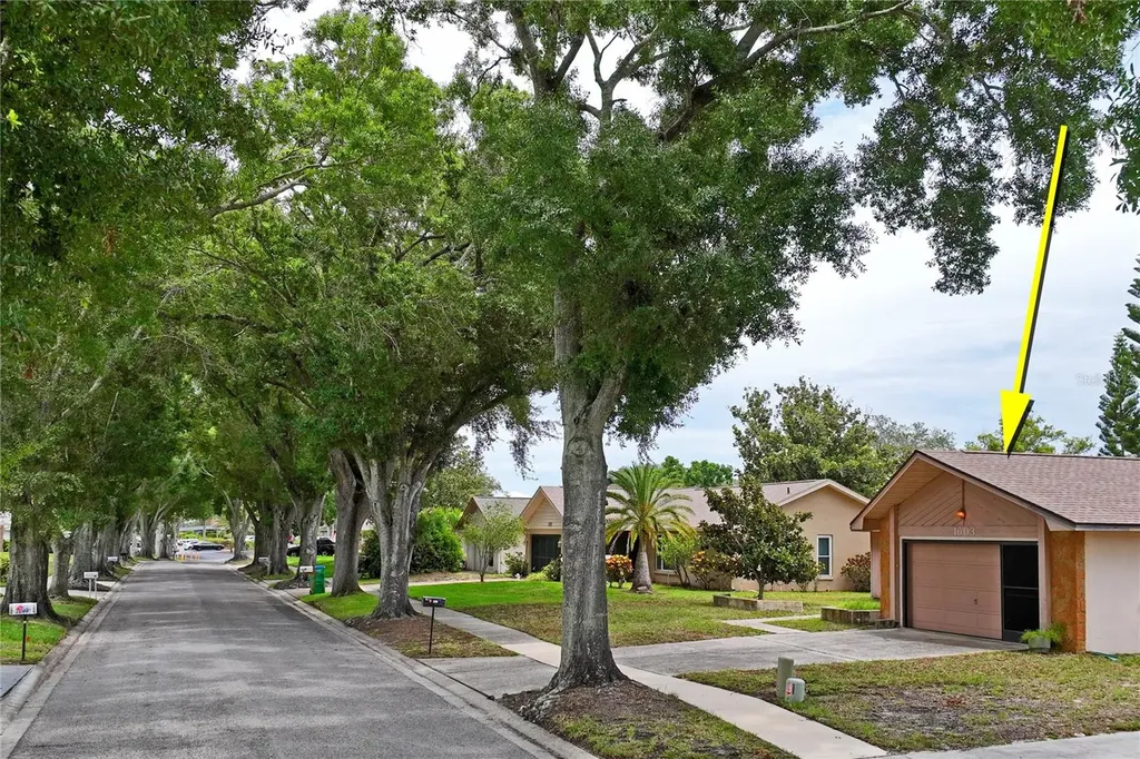 1603 Glengarry Drive Palm Harbor FL 34684
