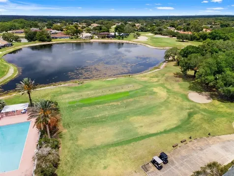 9419 New Orleans Drive Weeki Wachee FL 34613