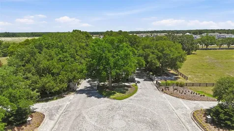 20945 Oldenburg Loop Mount Dora FL 32757