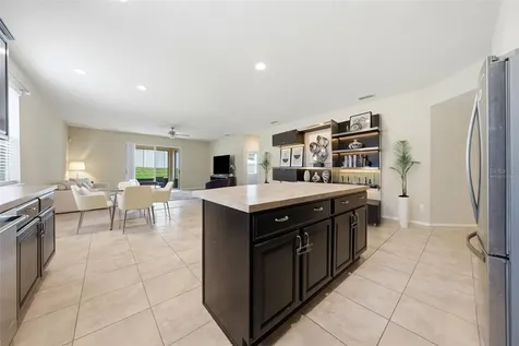 20945 Oldenburg Loop Mount Dora FL 32757